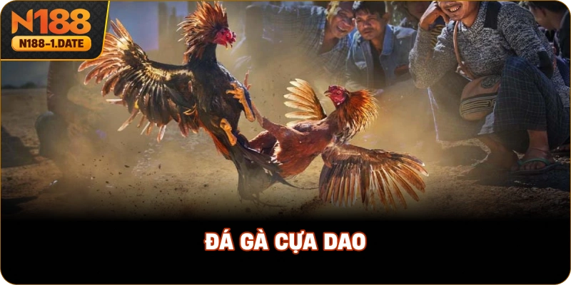 da-ga-cua-dao