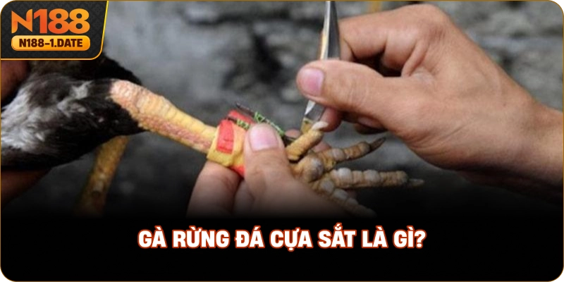 ga-rung-da-cua-sat-la-gi