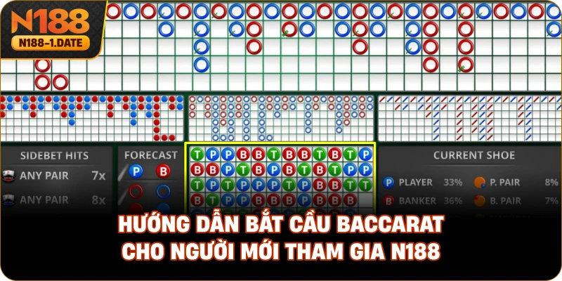 huong-dan-bat-cau-baccarat-cho-nguoi-moi-tham-gia-n188